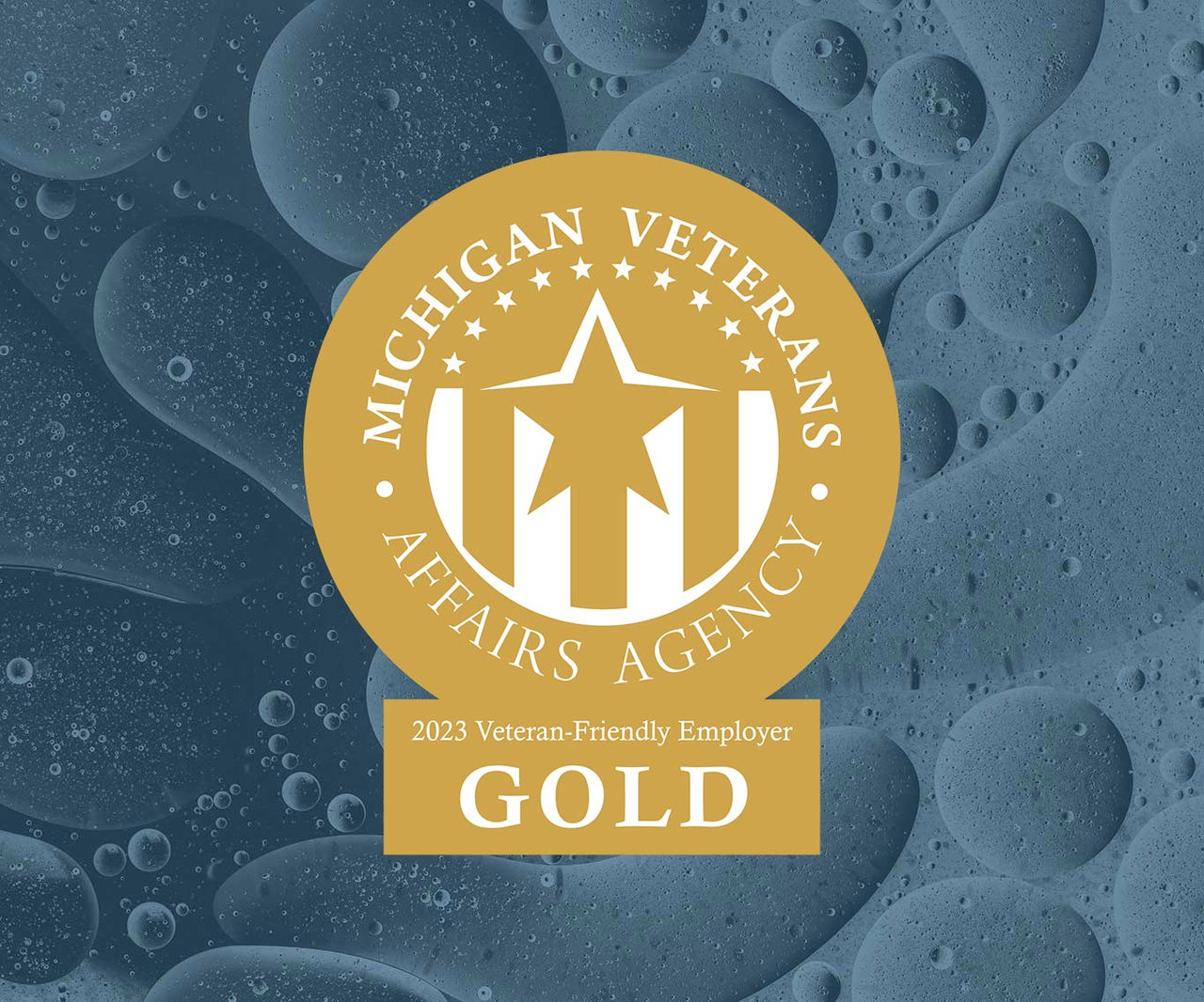 MI Veterans Affairs agency gold award