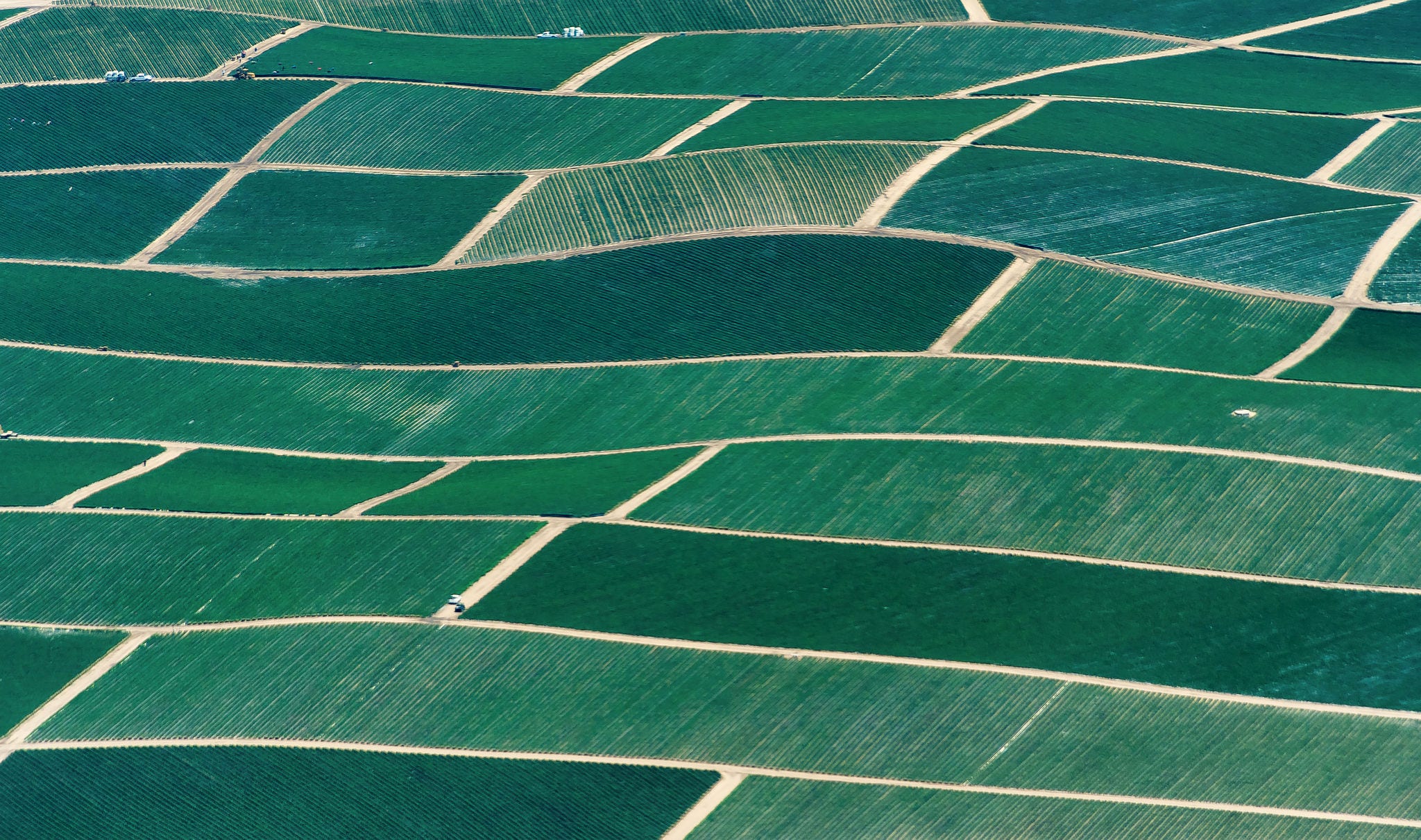 Aerial view of light and dark green farmland for the rearing of livestock and production of crops