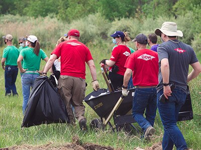 Dow volunteers in action at a community clean up event