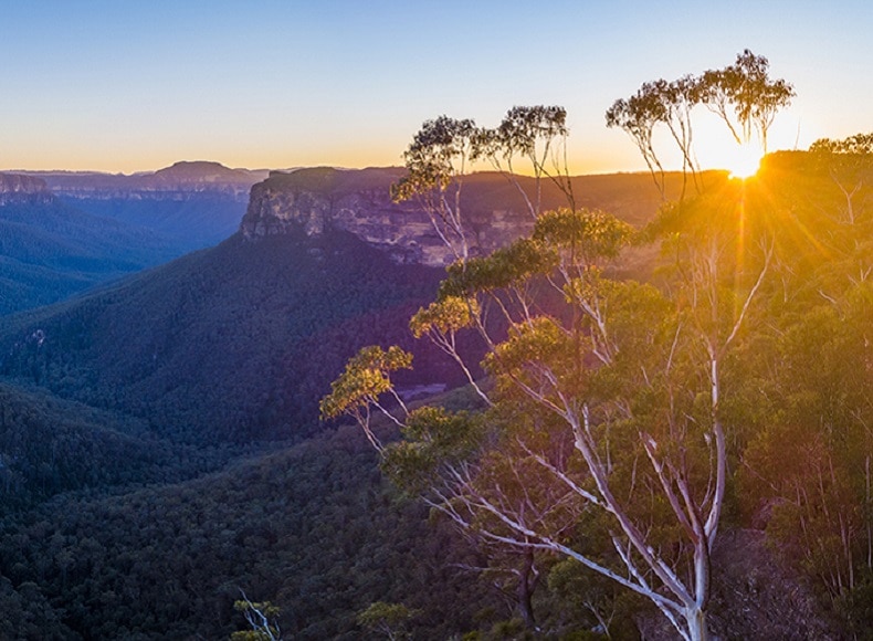 Net Zero Australia | Case Study | Dow Corporate