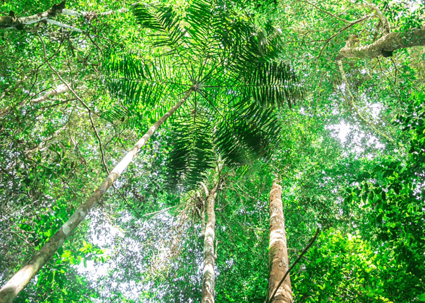 Resources card image